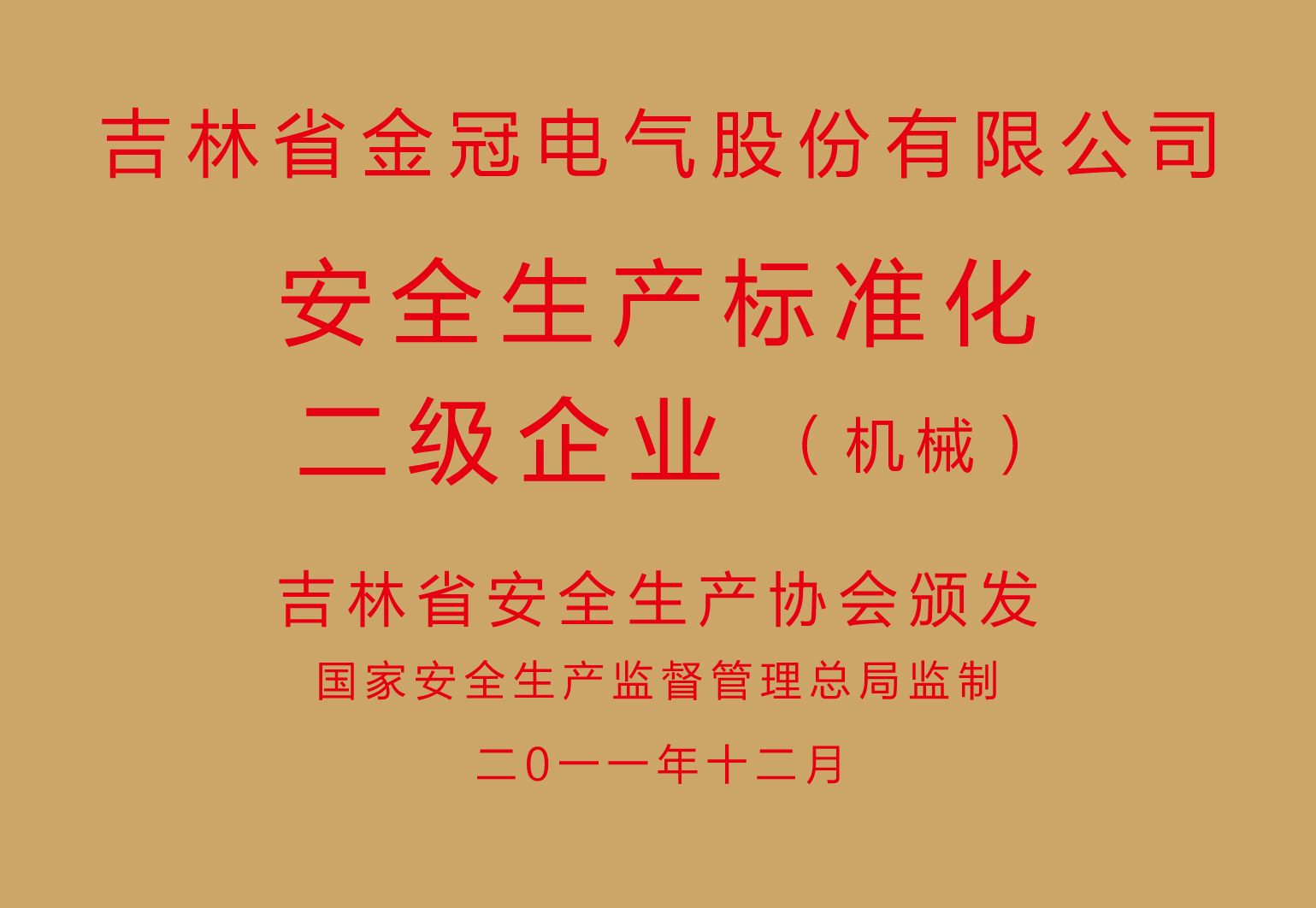 安全生產(chǎn)標(biāo)準(zhǔn)化二級(jí)企業(yè)